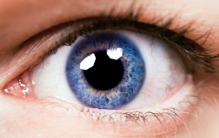 Nahaufnahme eines Auges mit blauer Augenfarbe