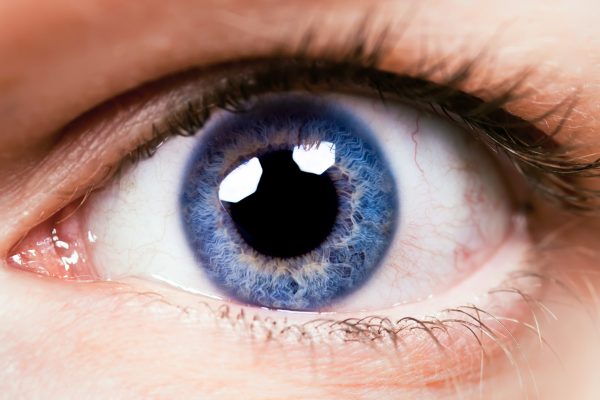 Wirkung und Sinn von Gelblichtbrillen / Blaulichtfilterbrillen