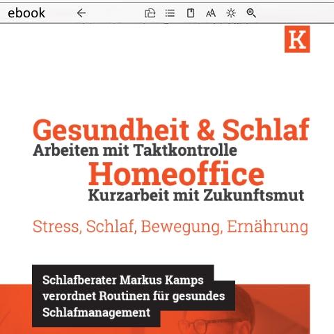 Screenshot ebook Home-Office